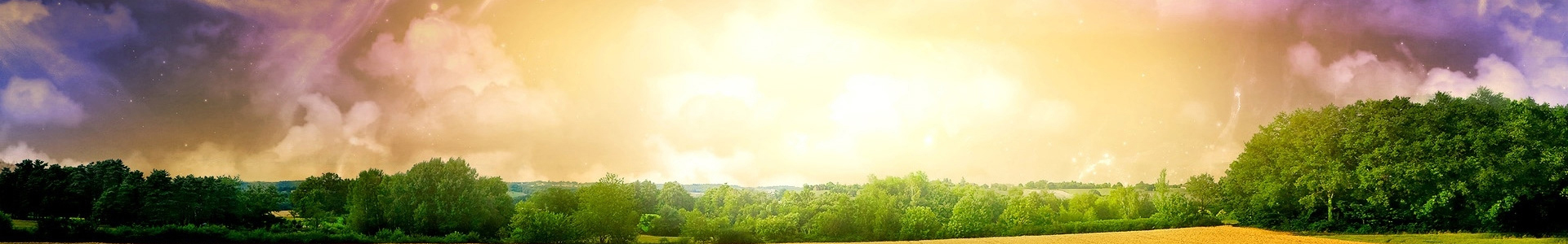 香蕉视频APP入口